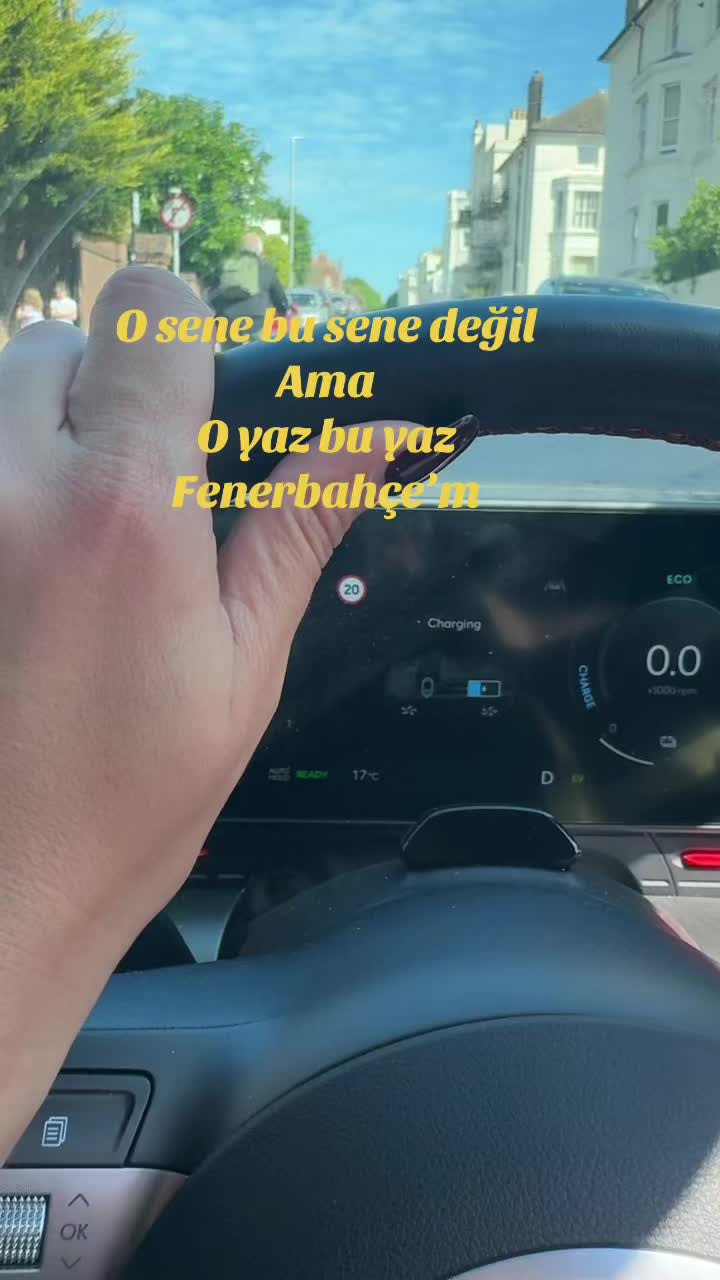 @Sevdacelikuk