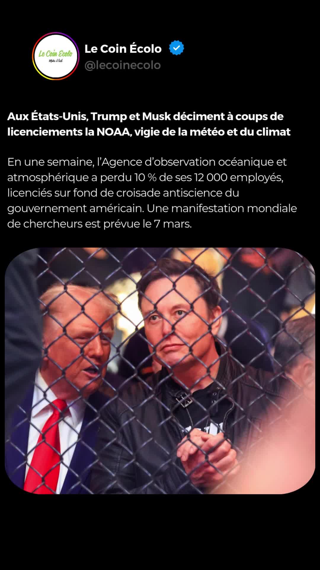 @Le Coin &Eacute;colo