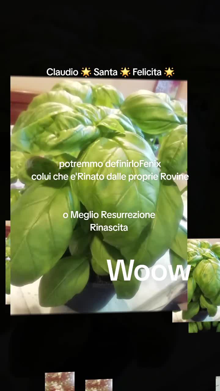 @Claudio Santa Felicita