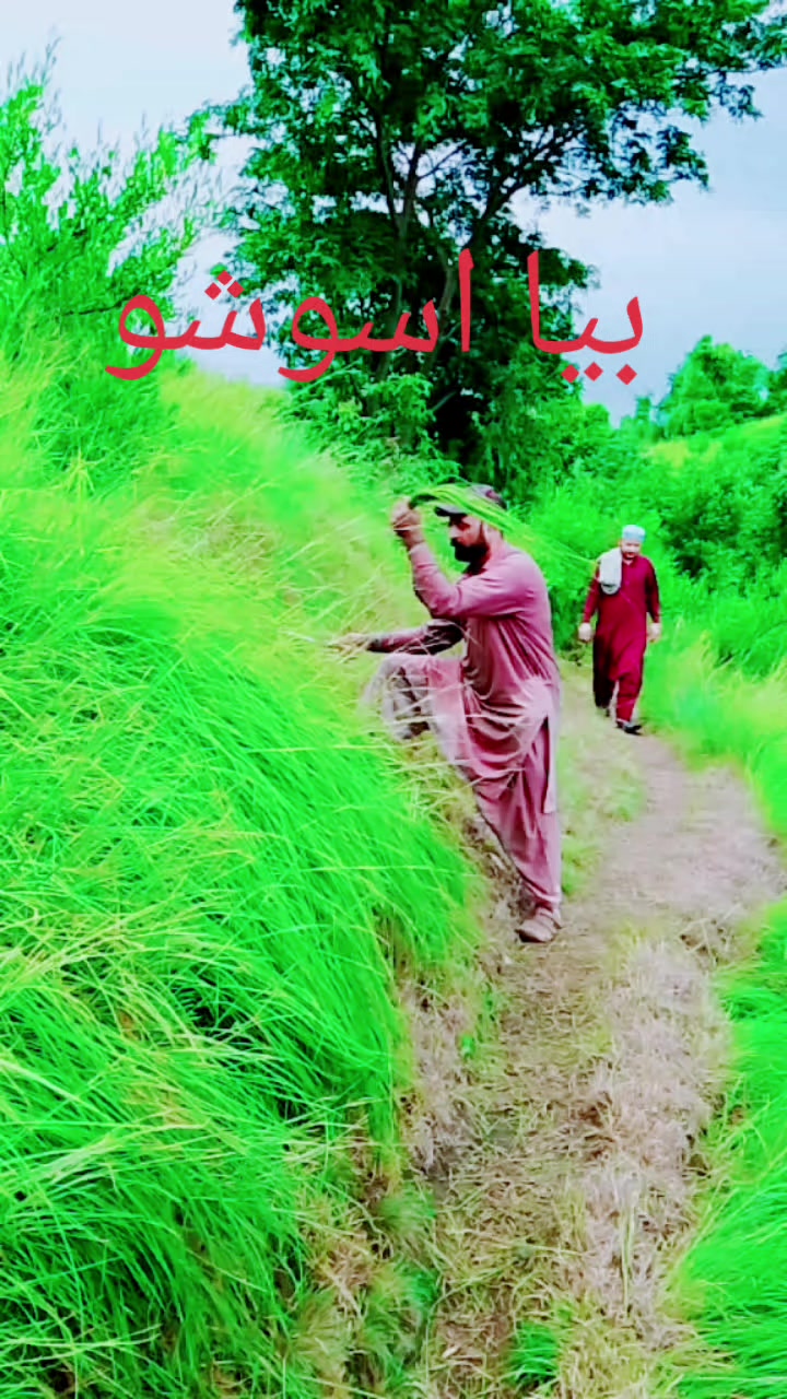 @AJ khan