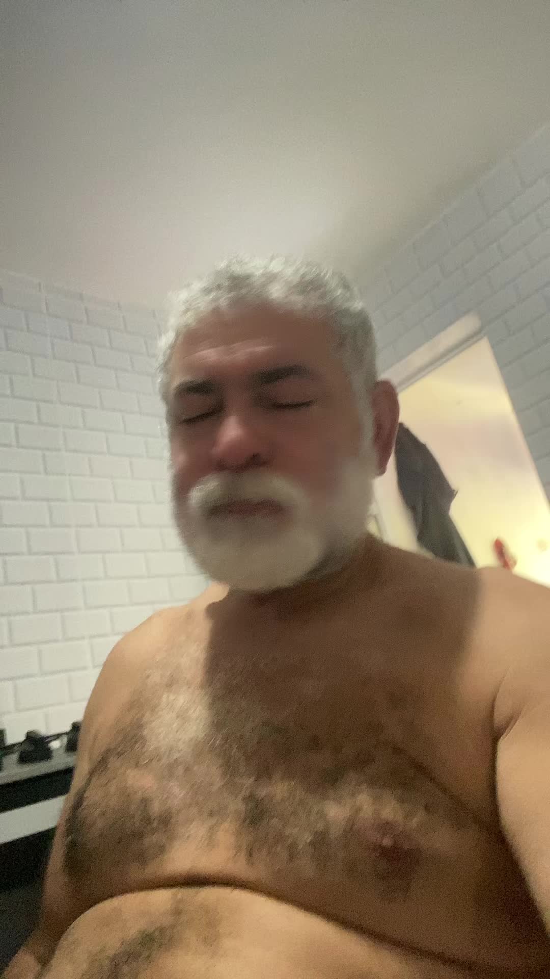 @🇧🇷🇧🇷falconbear99🇧🇷🇧🇷