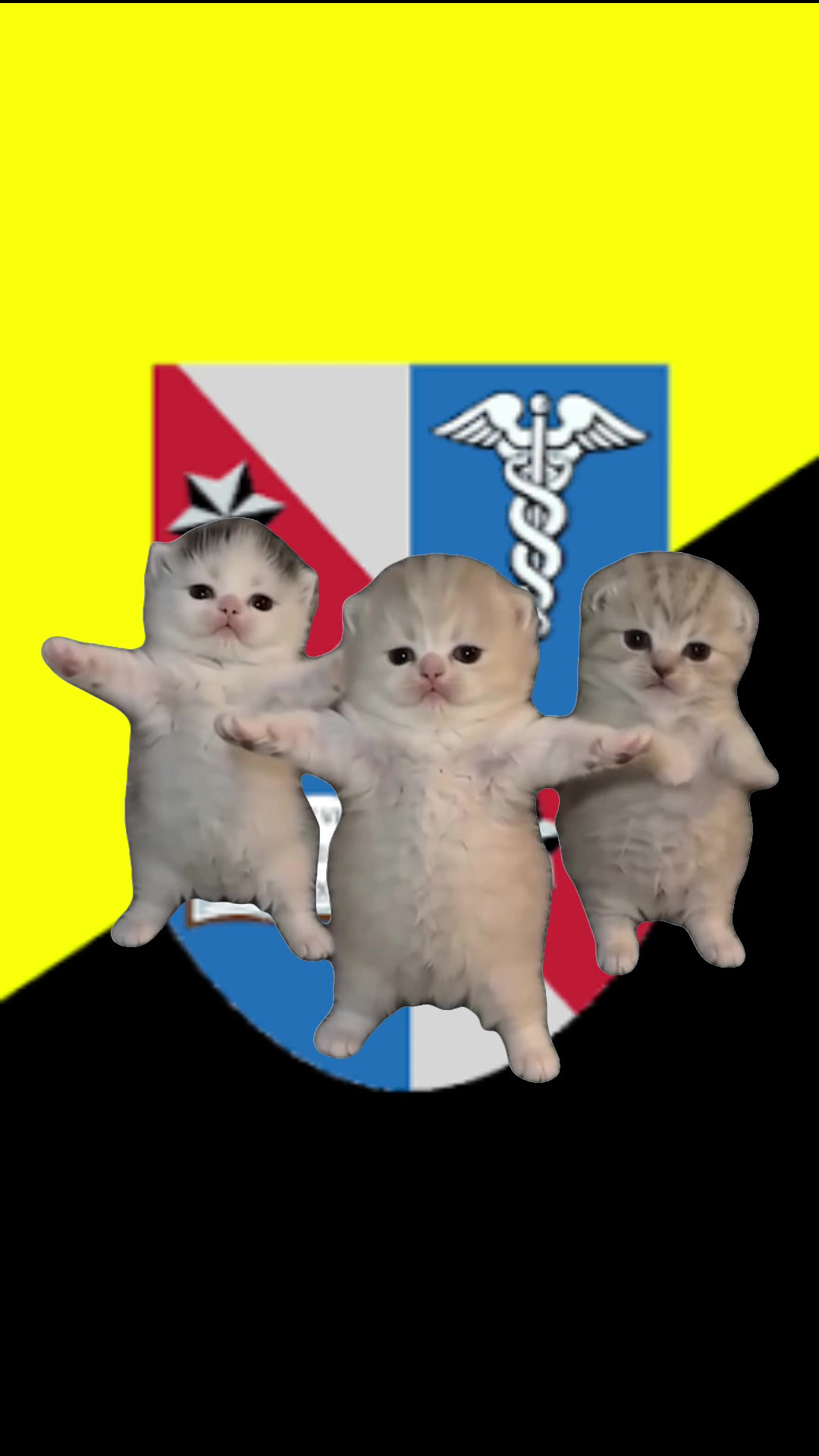 @🇬🇪Georgian minarchist A&sup3;🇮🇱