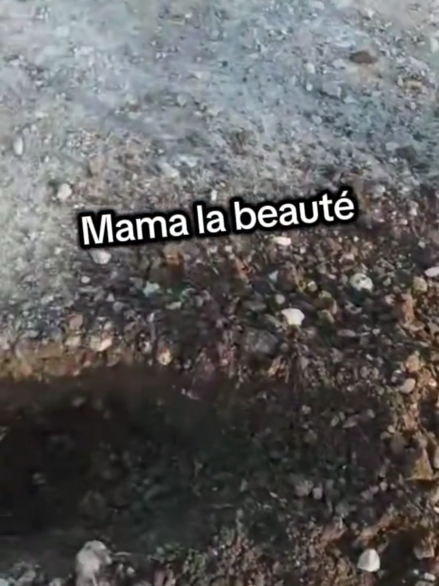 @DétecteurDeTrésor💥