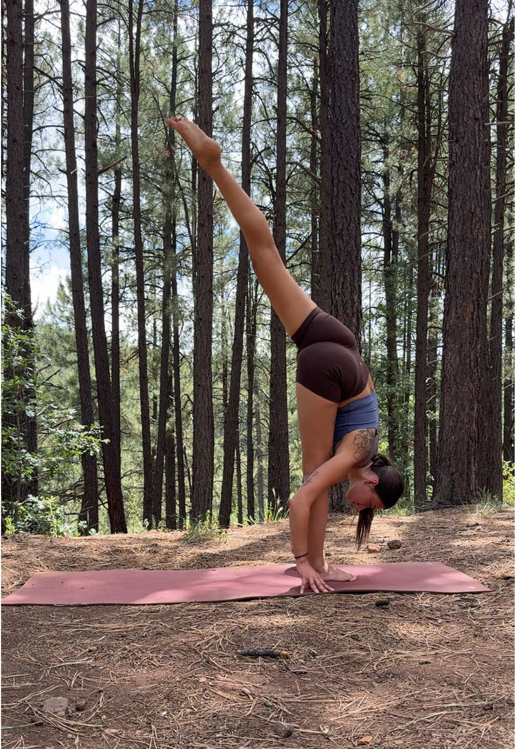 @Max🪻🌞🌲
