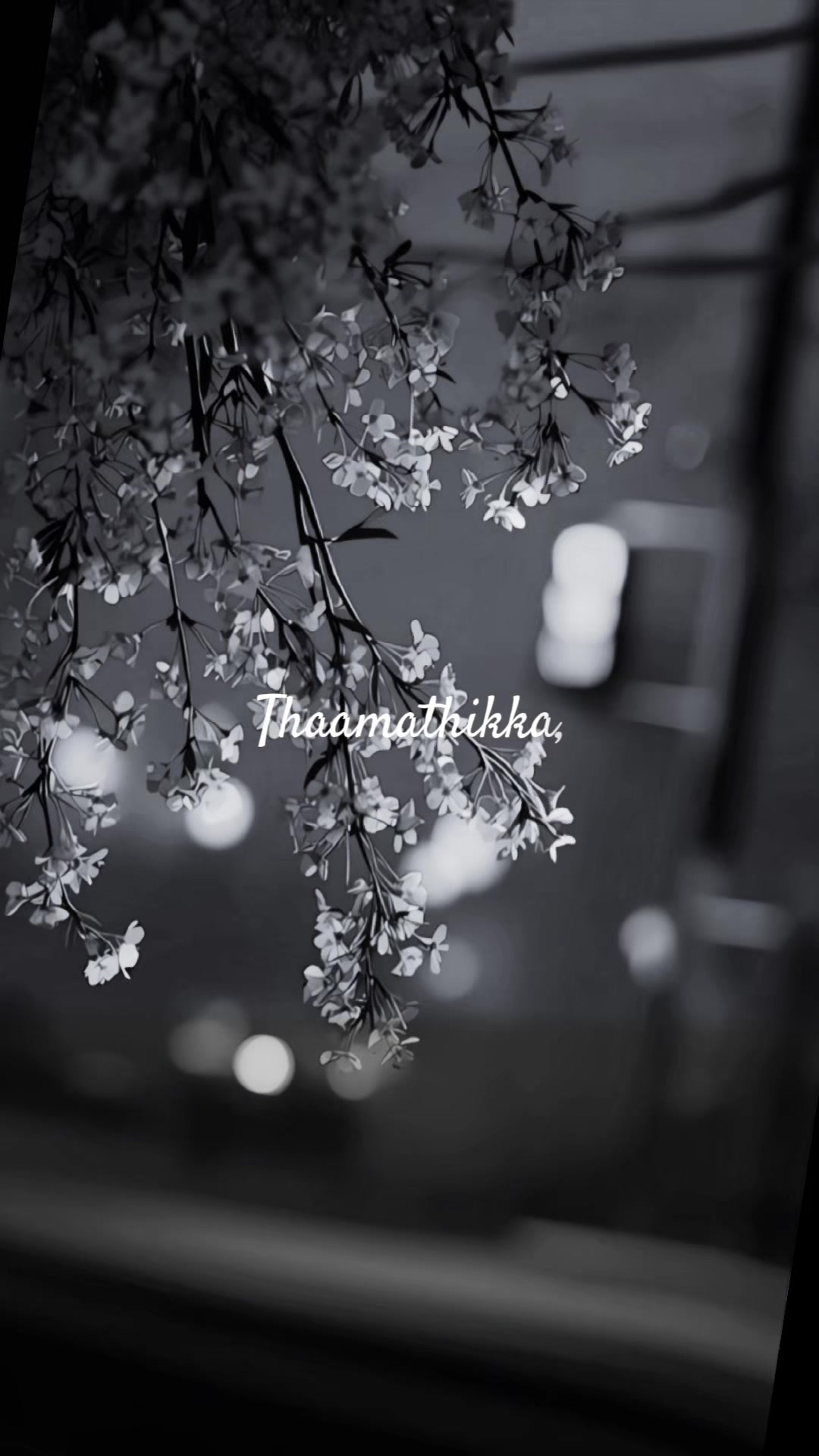 @Ammu_EditZ 💔 🎧 🔥