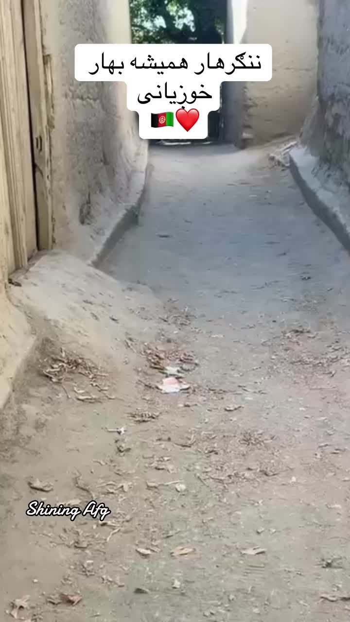 @Shining Afg