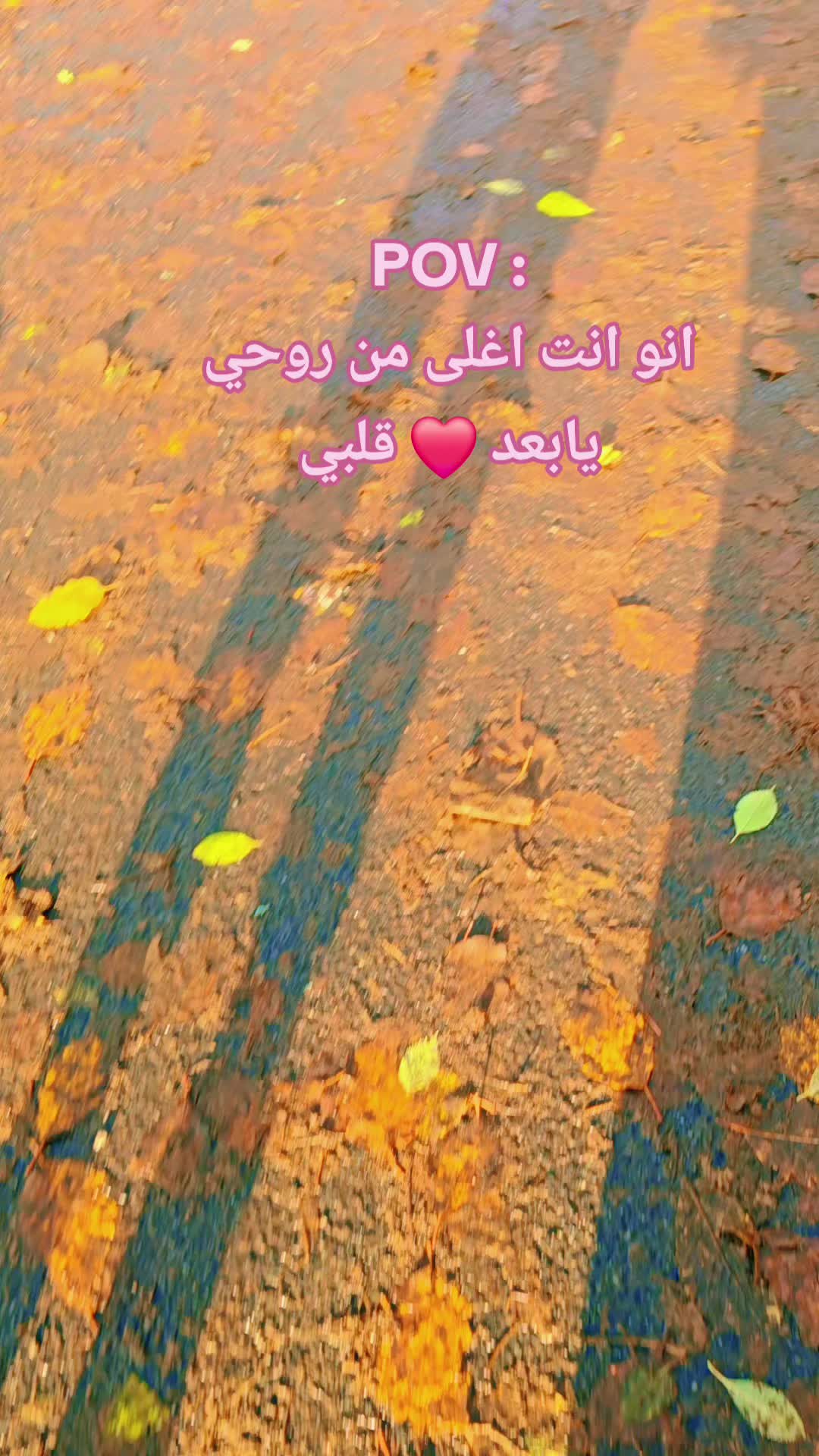 @Jian 79🇮🇶