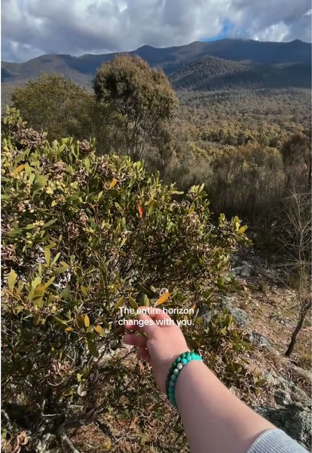 @Tara | Wanderlust 🍄🌿