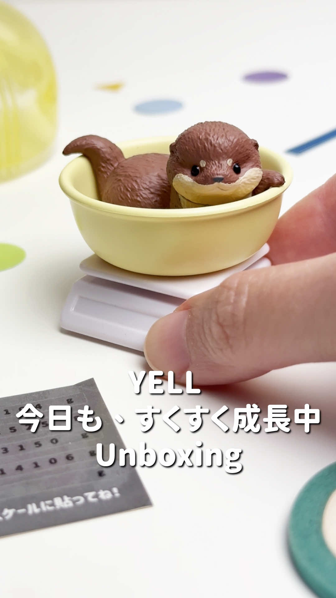 @Maotu 毛兔