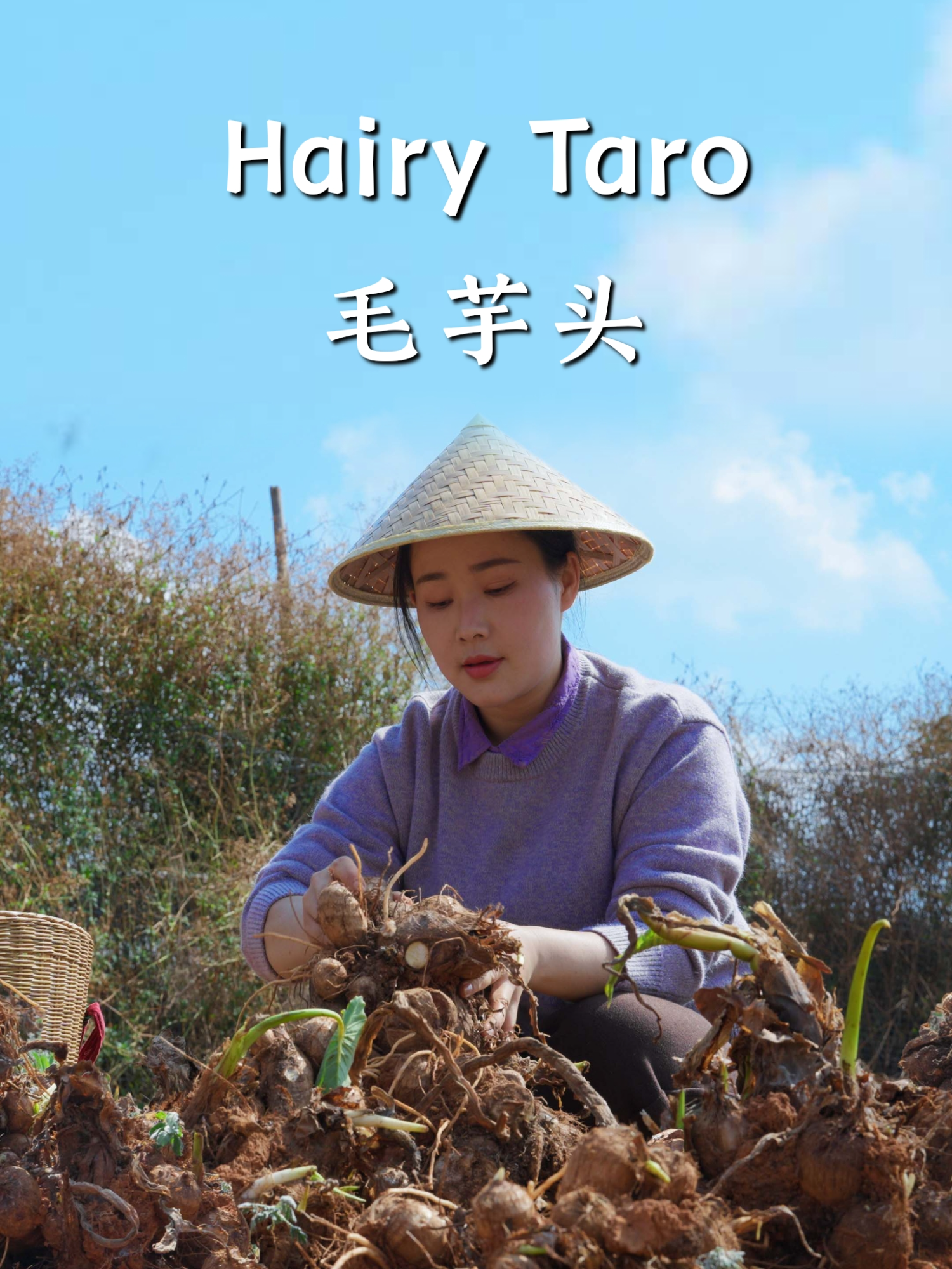 @滇西小哥 Dianxixiaoge