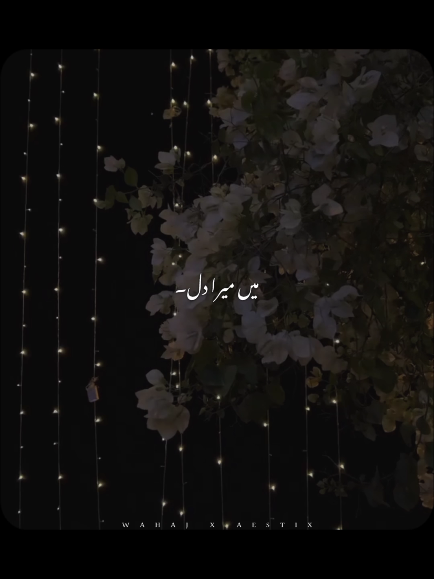 @𝙒 𝘼 𝙃 𝘼 𝙅 🕊️ &bull;
