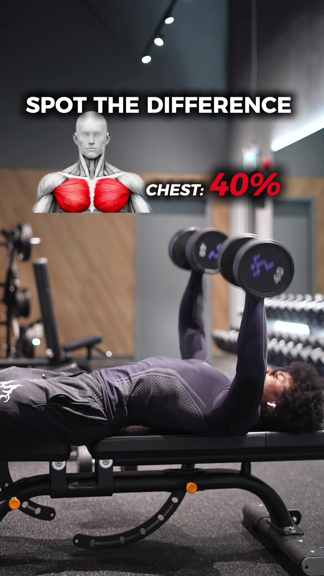 @Gymbro001 | Fix Your Workouts