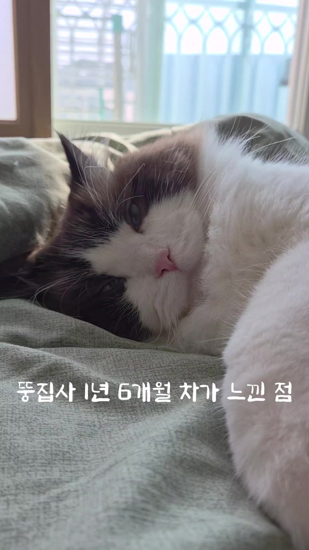 @ddoong2(๋ฑ์ด)