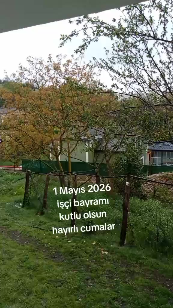 @M&Uuml;SL&Uuml;MC&Uuml; 41 🟡🇹🇷🔵