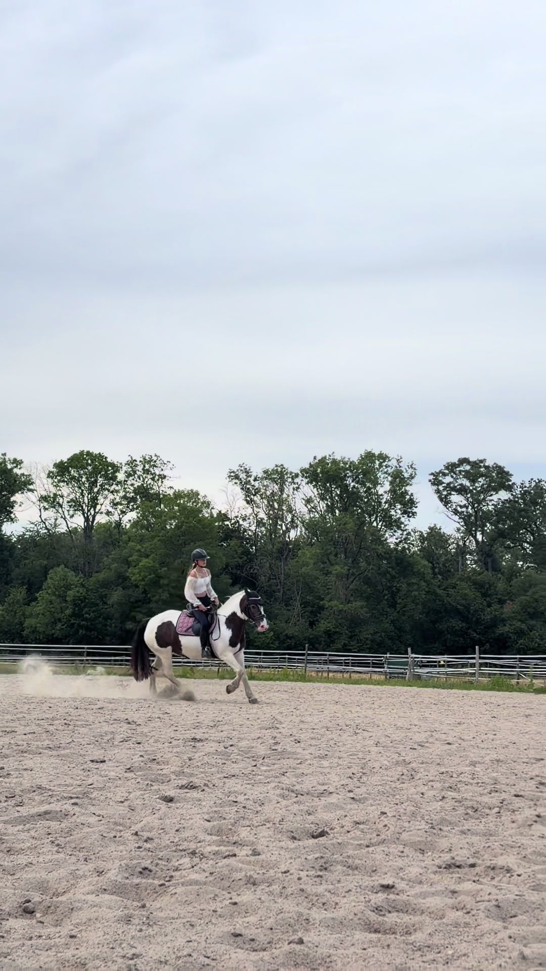 @🦄