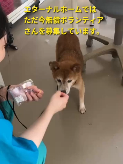 @NPO法人エターナル・ホーム
