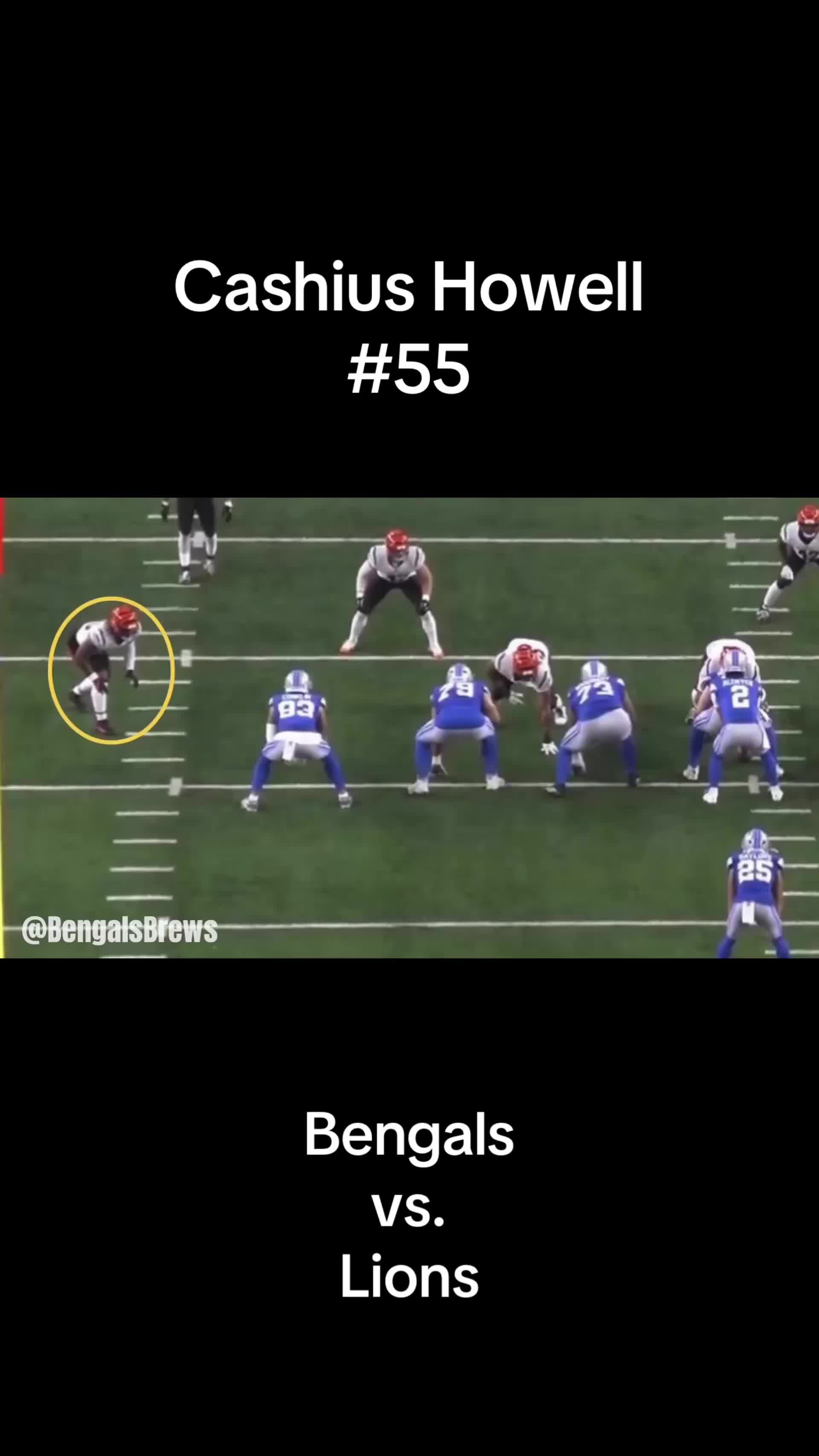 @Bengals & Brews