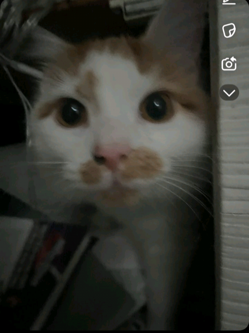 @๐ชท๐Beebee๐๐ชท