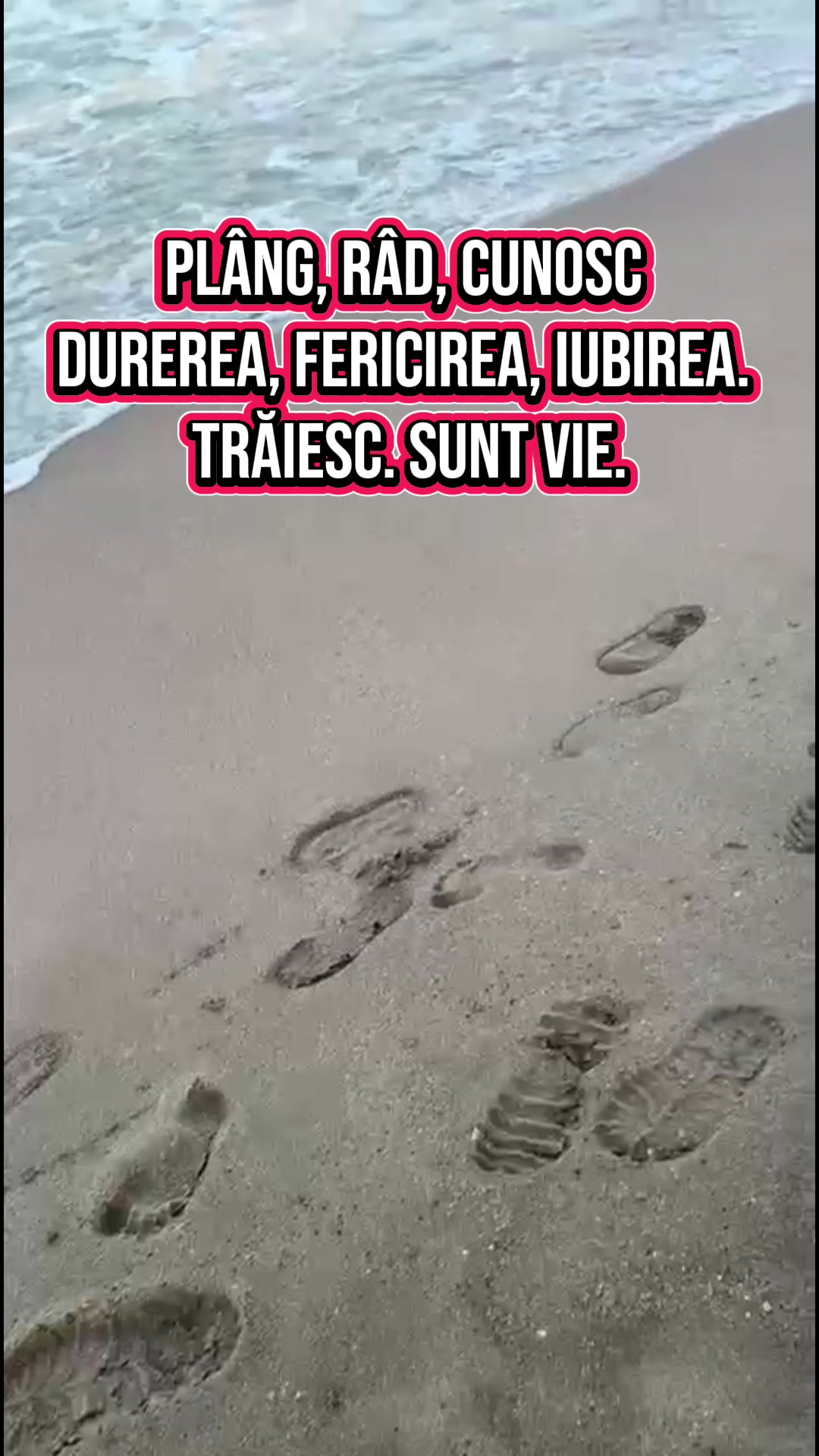 @profademate_romana