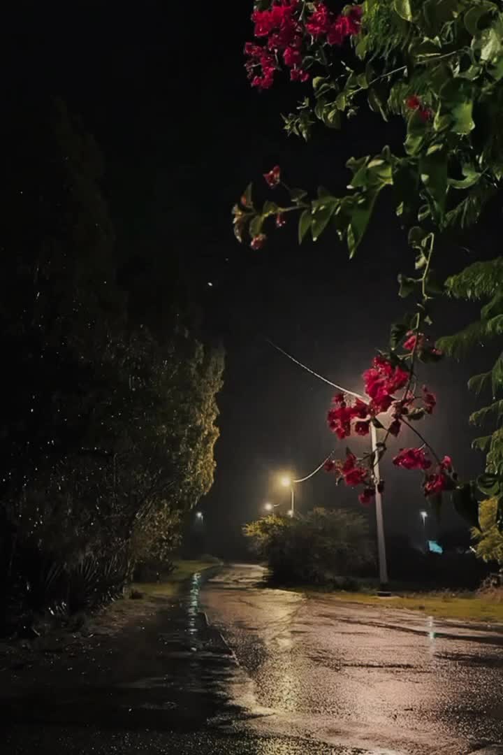 @Every_DayVibes