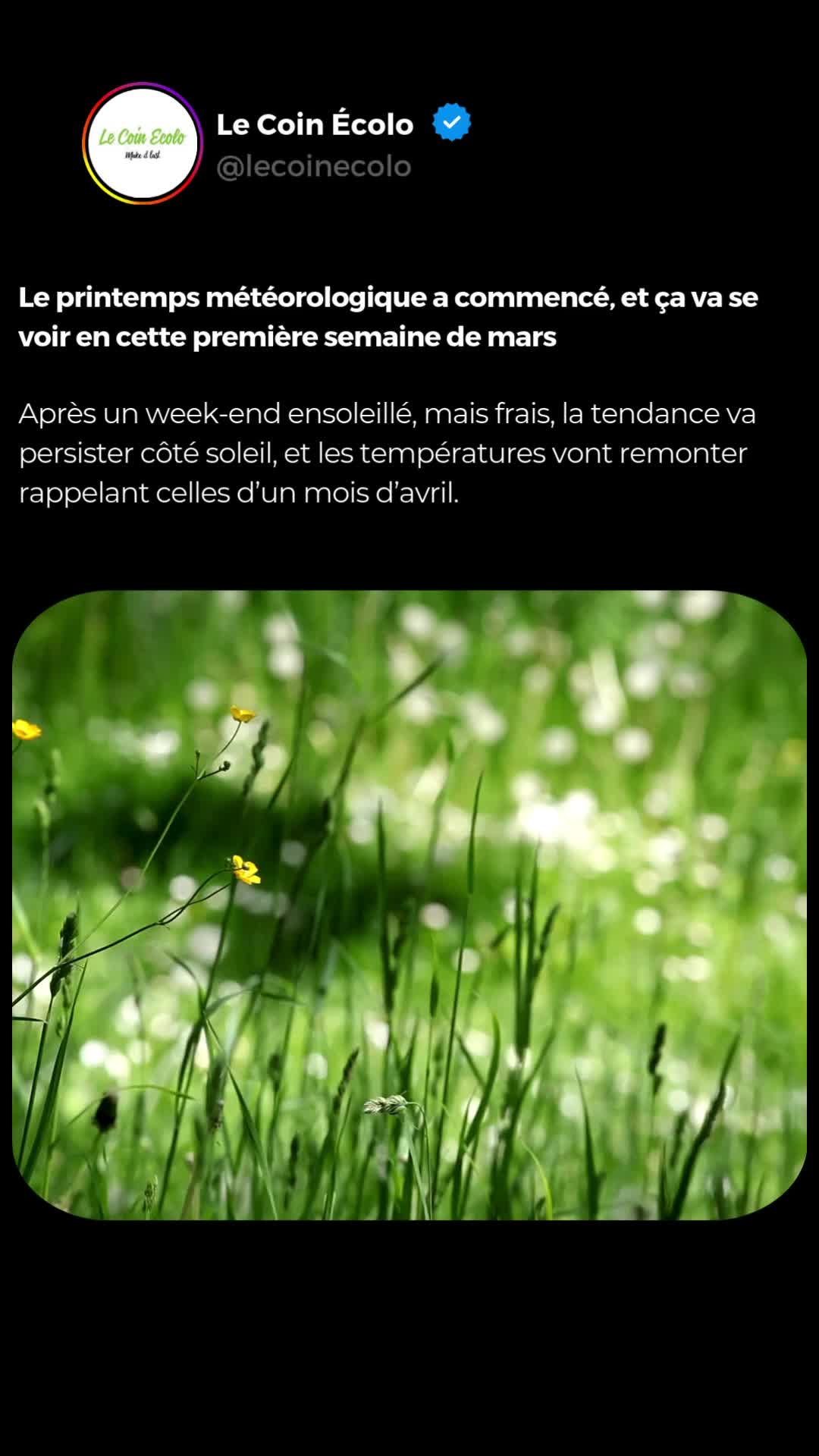 @Le Coin &Eacute;colo