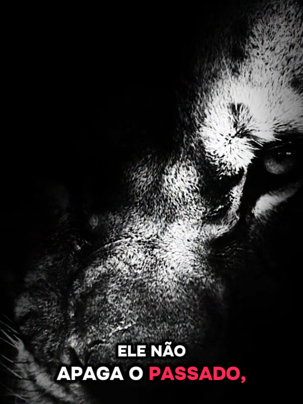 @Motivação em Palavras