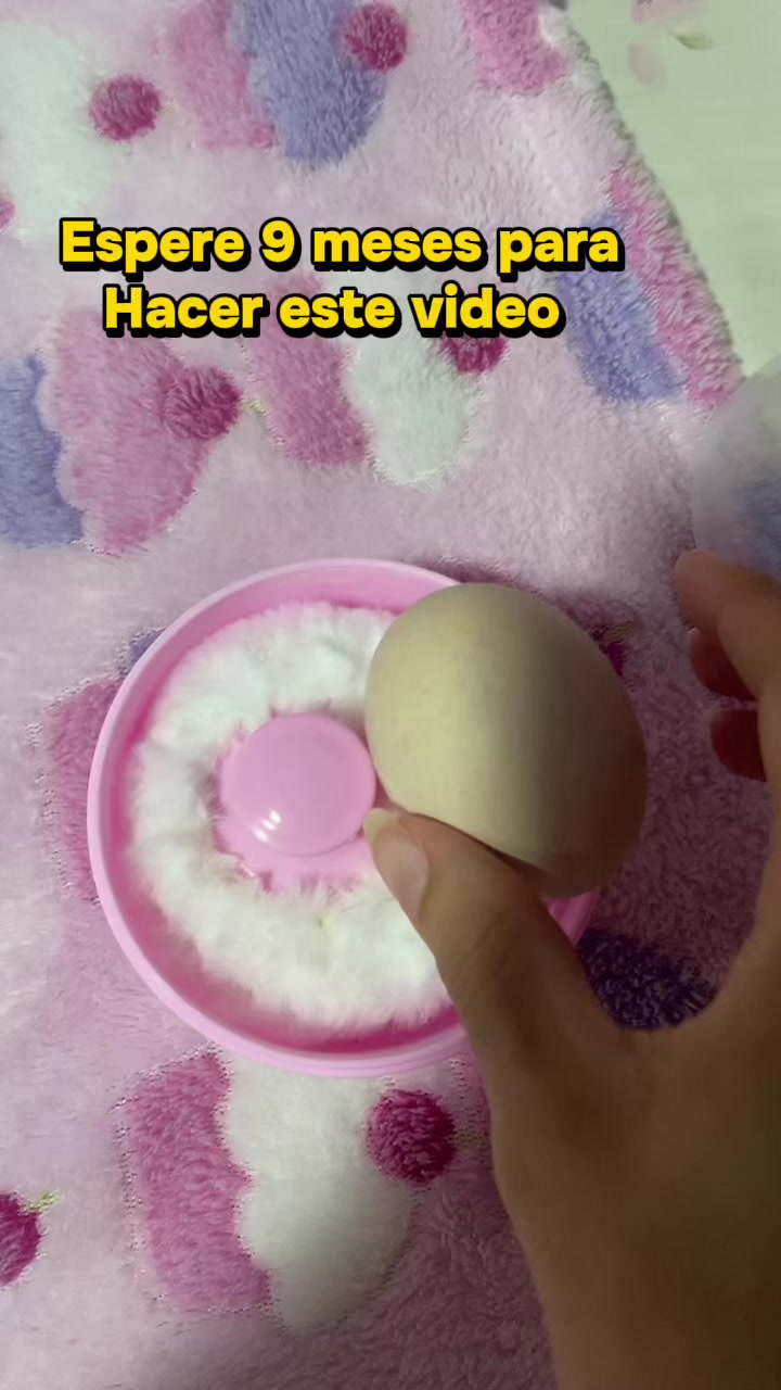 @Dilenia Fernández