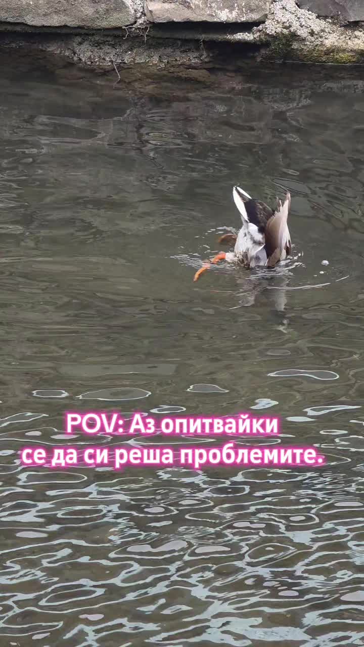 @Zori