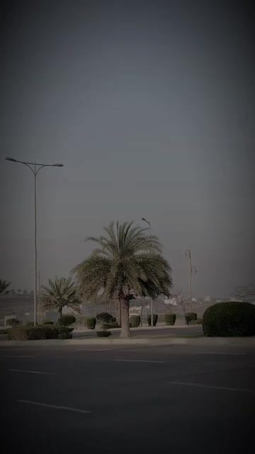 @S ⚜️Khanن×∆