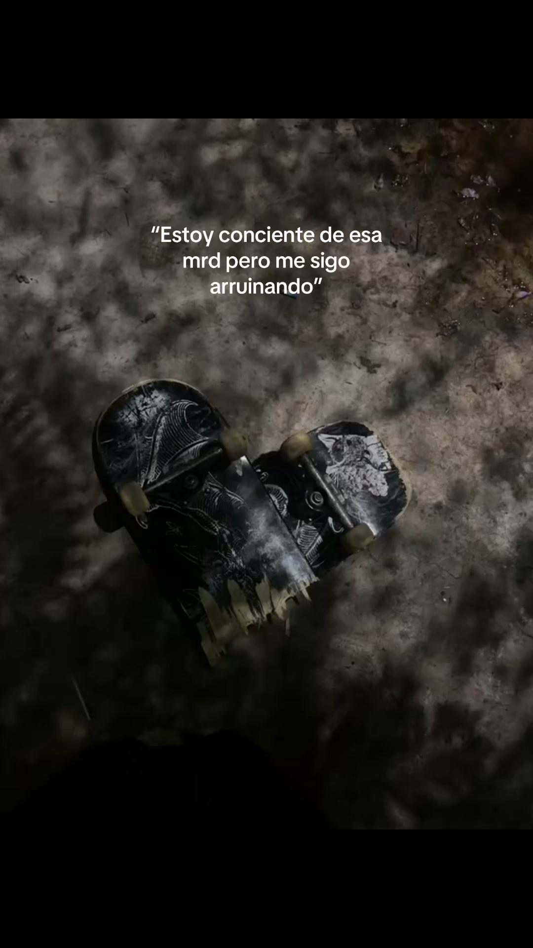 @𓆰 𓆪