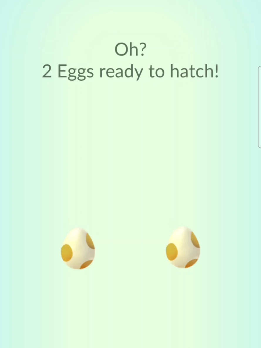 @Pokemon Playtimez - Nat
