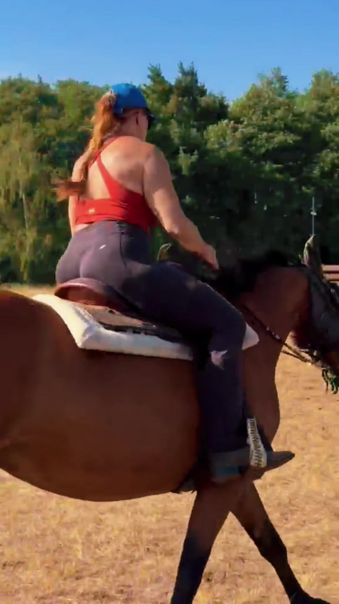 @Cestou Horsemanshipu