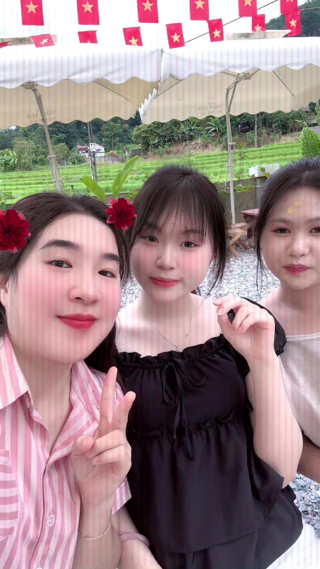 @ᥫ᭡𝑴𝒆𝒐𝒘 ฅ(•- •ᥫ᭡