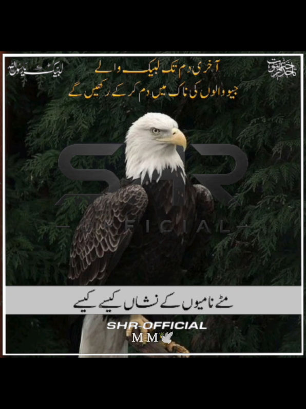 @SHR - OFFICIAL