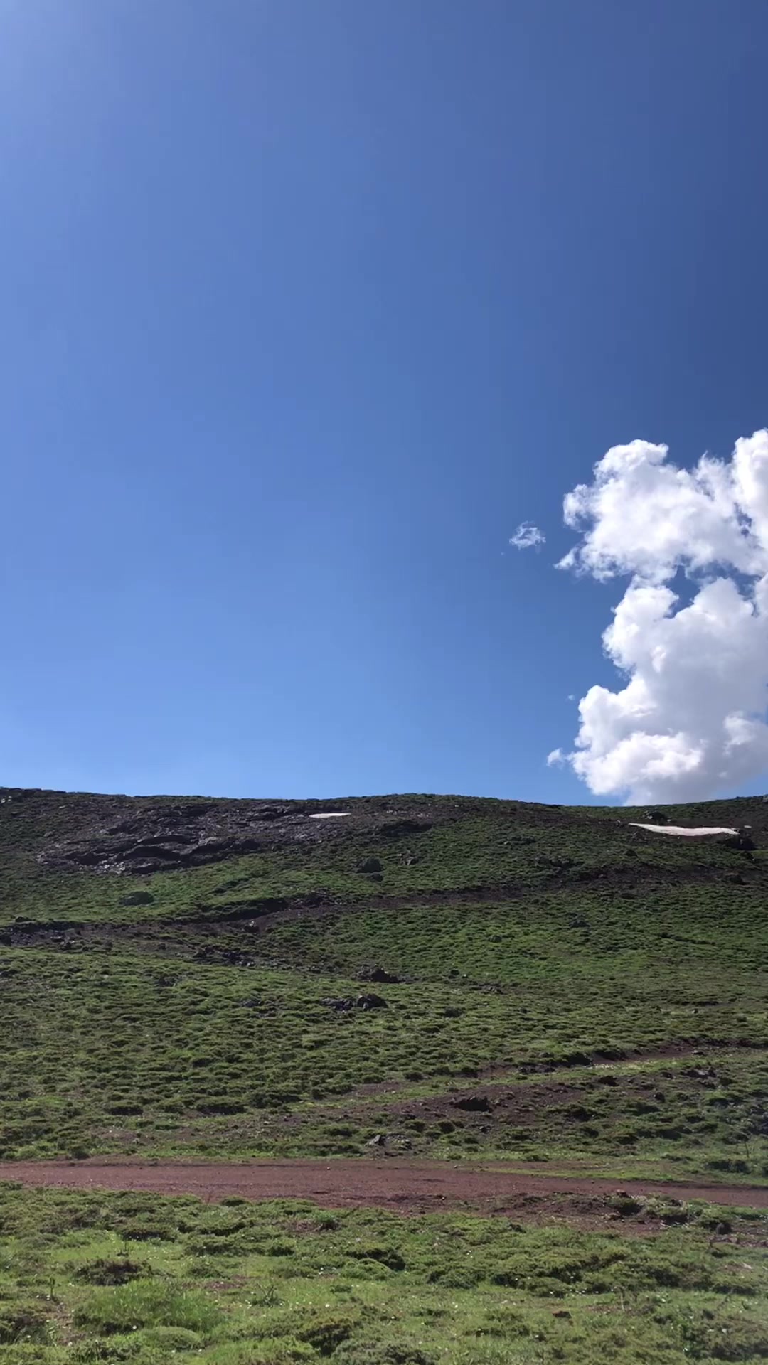 @ALİ AKKAŞ