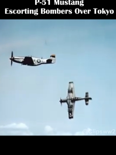 @Clipsww2