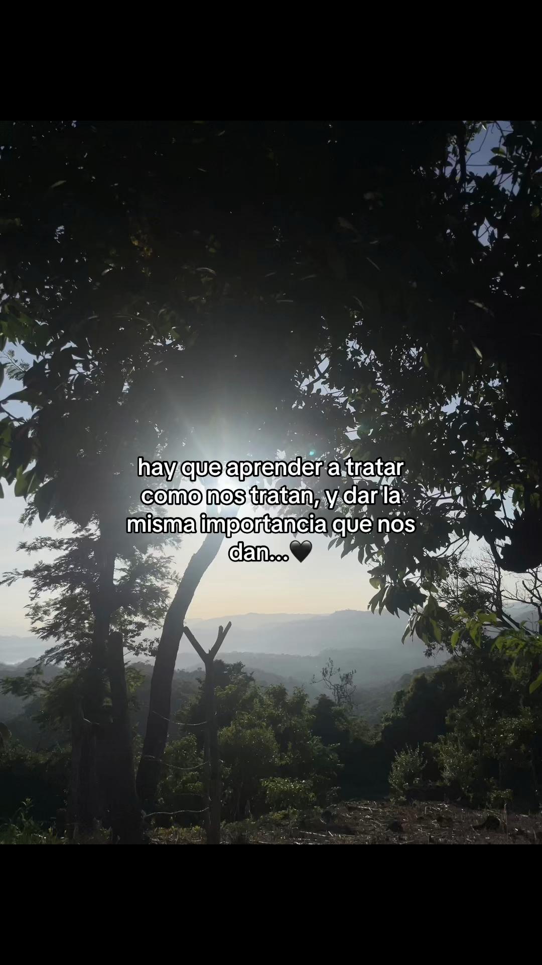 @_music_0384