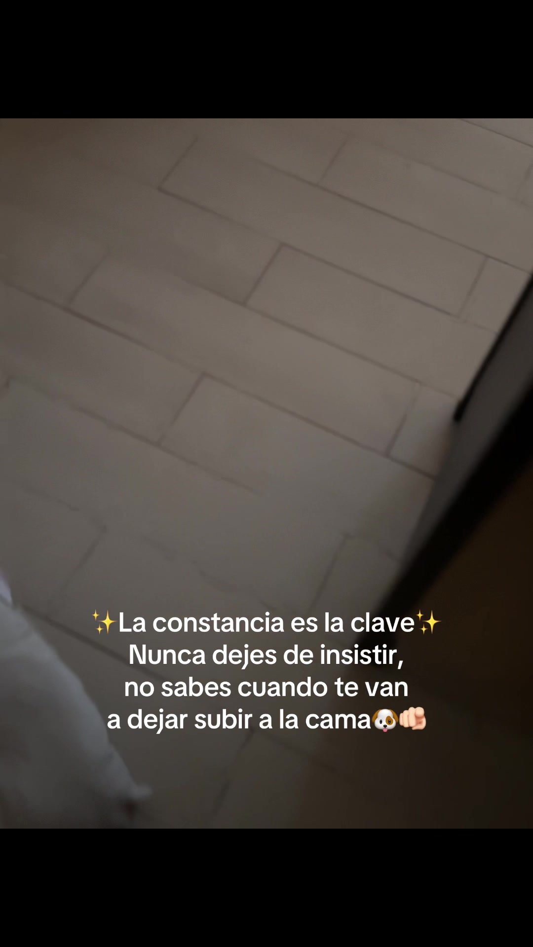 @Soy Vegeta