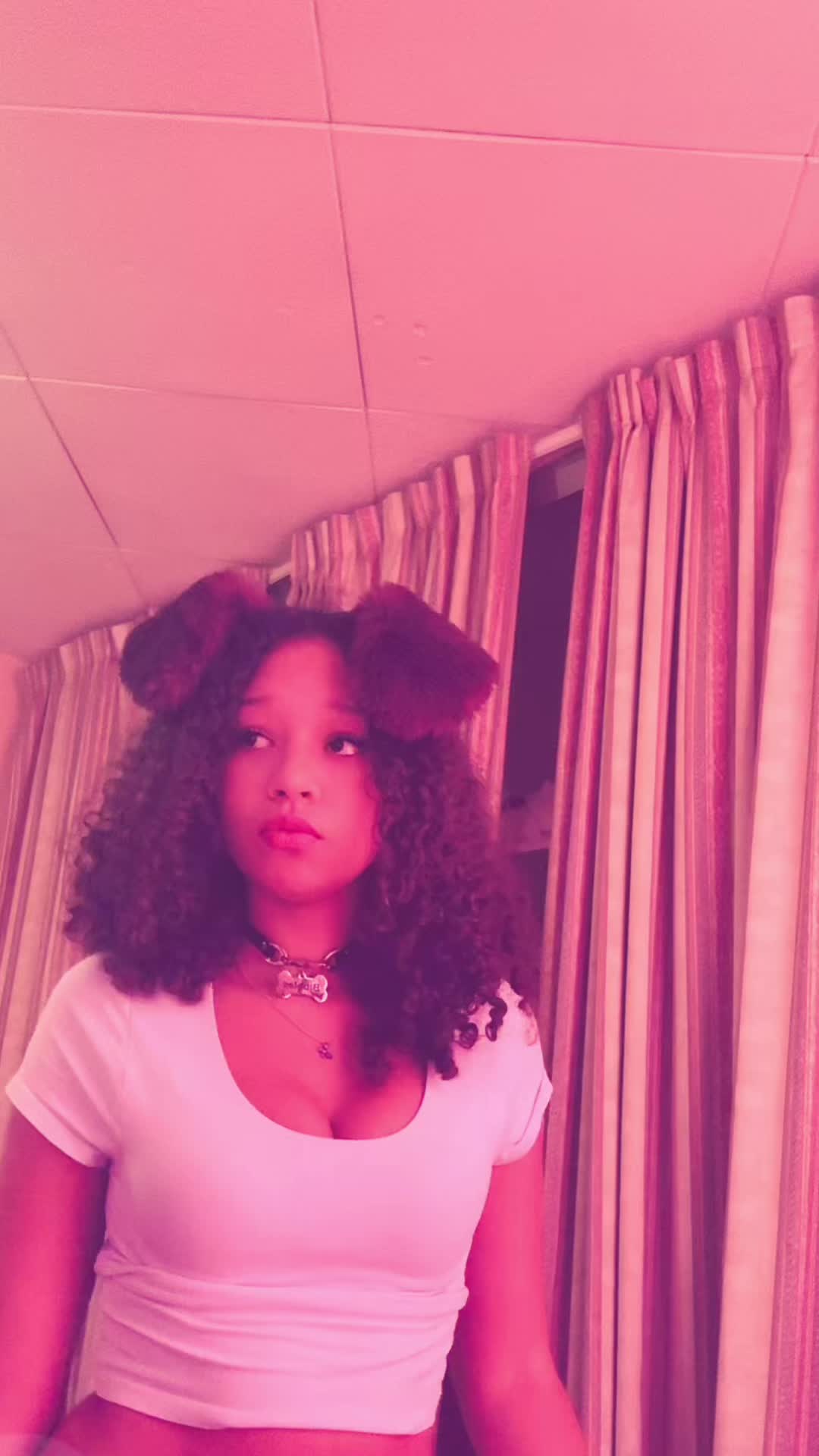 @shh.bibbles