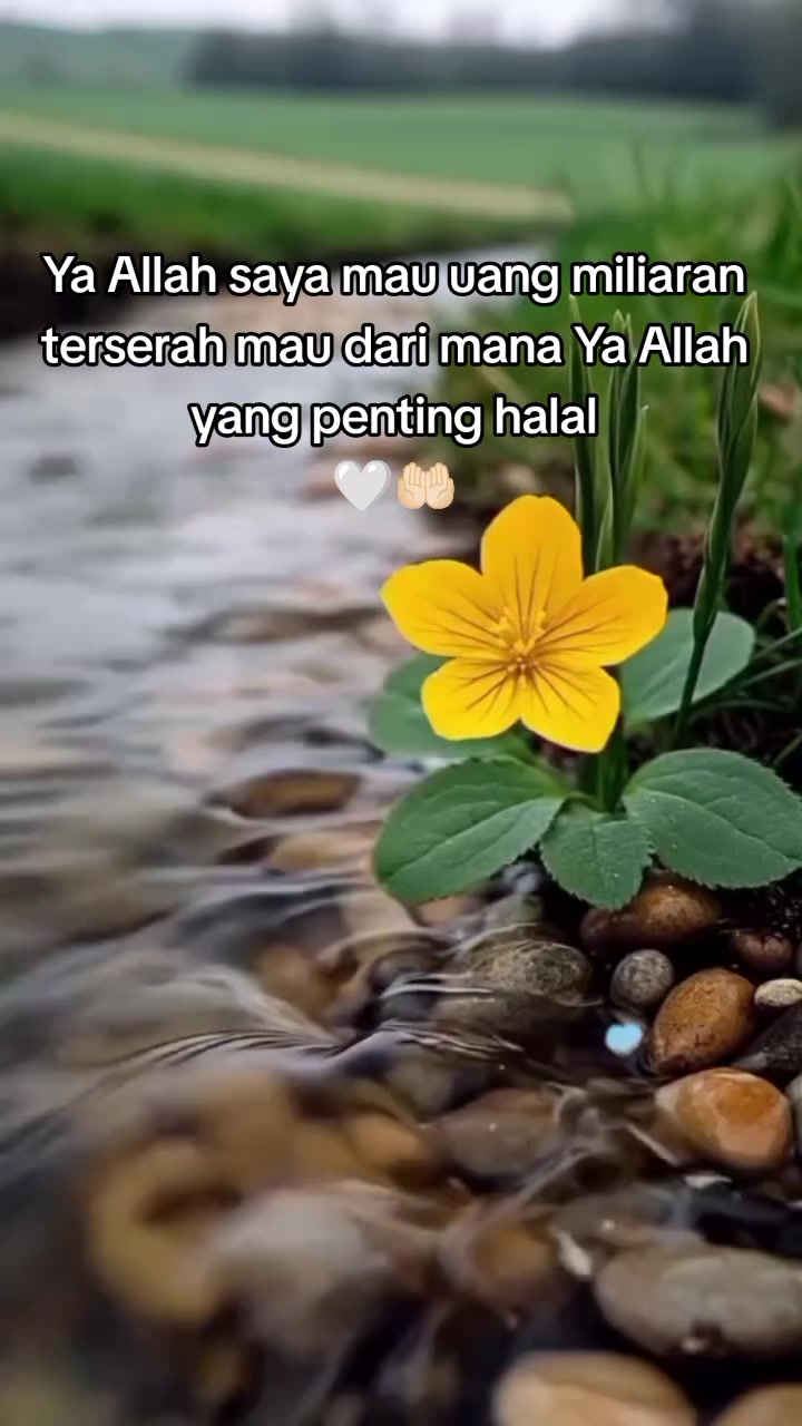 @cheffina_ina
