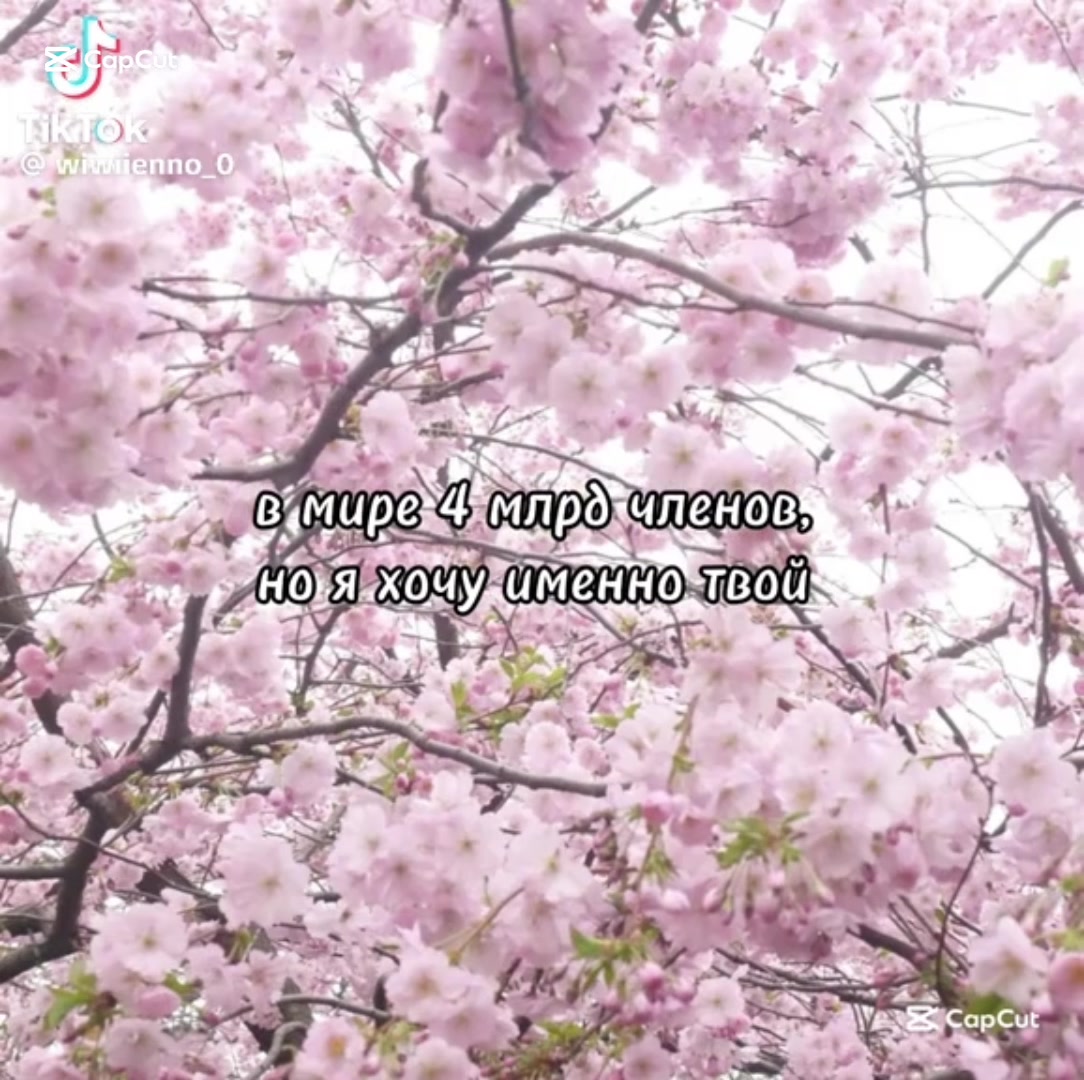 @Галина