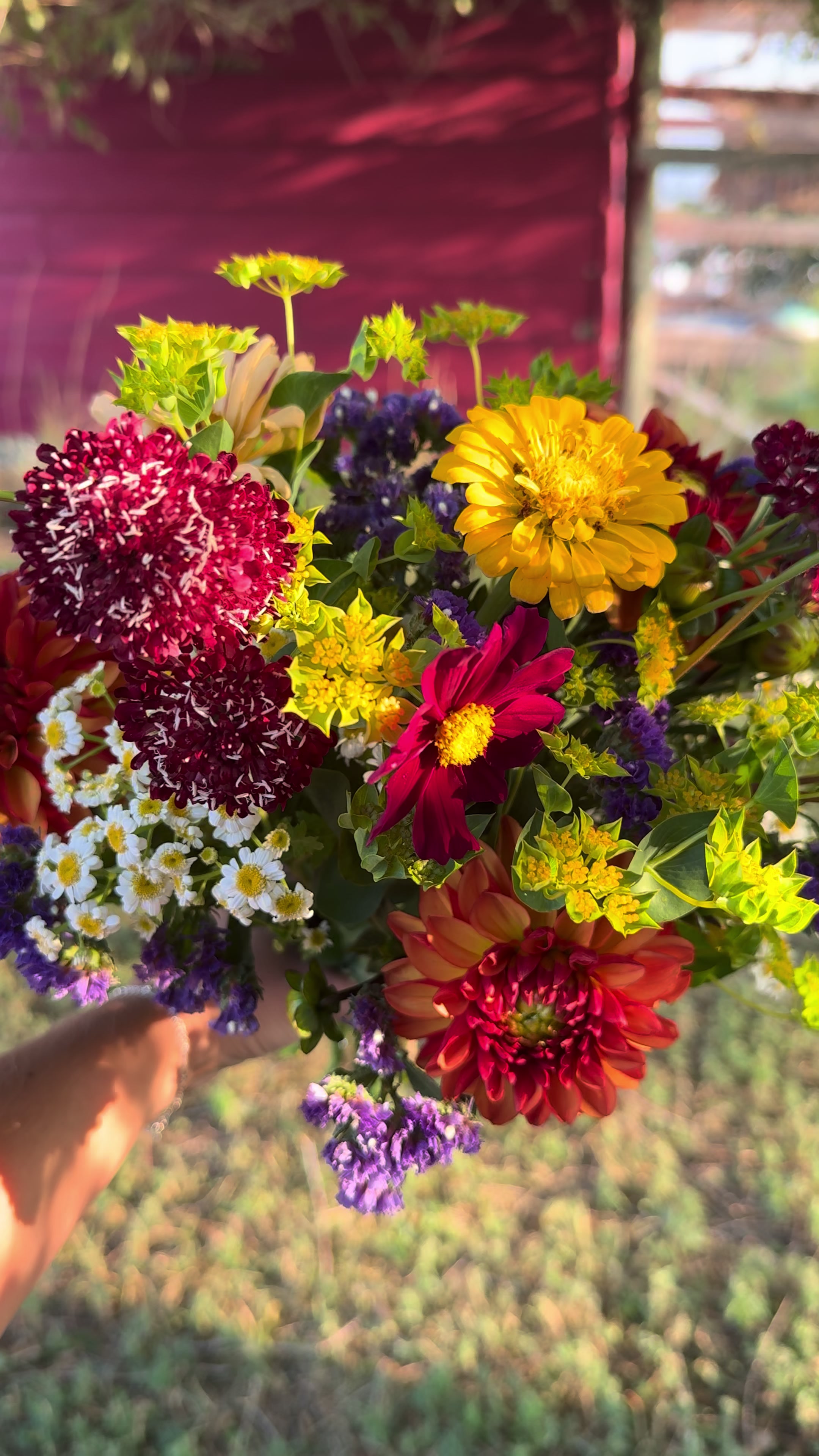 @Sandy Acres Farm