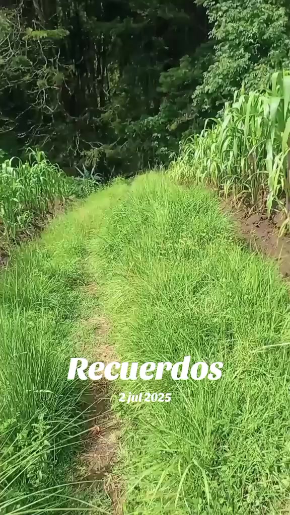 @marisheyl