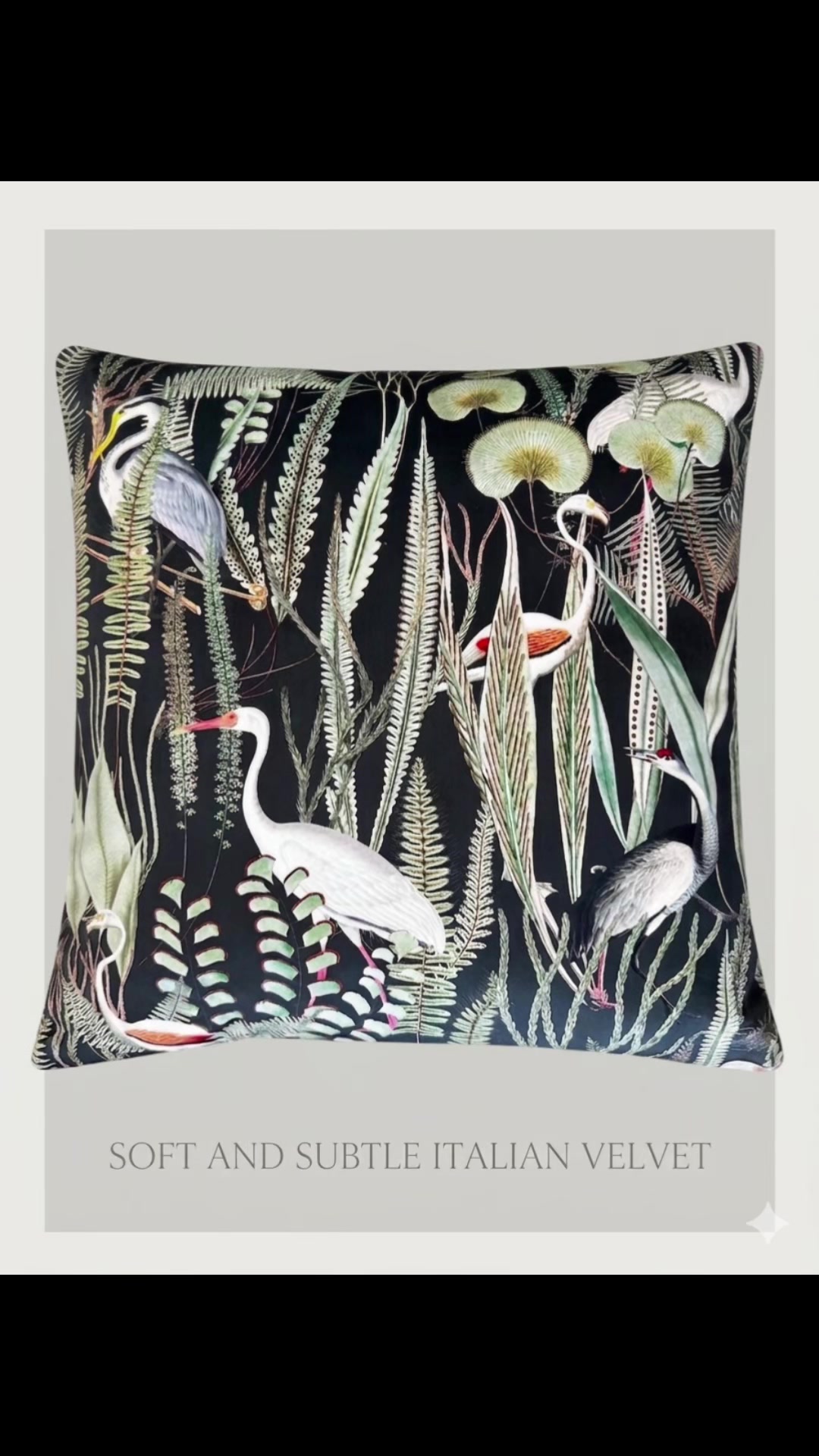 @Bella & Home Wales