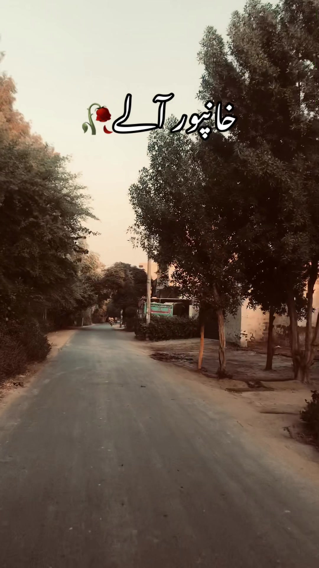 @خانپور آلے🥀