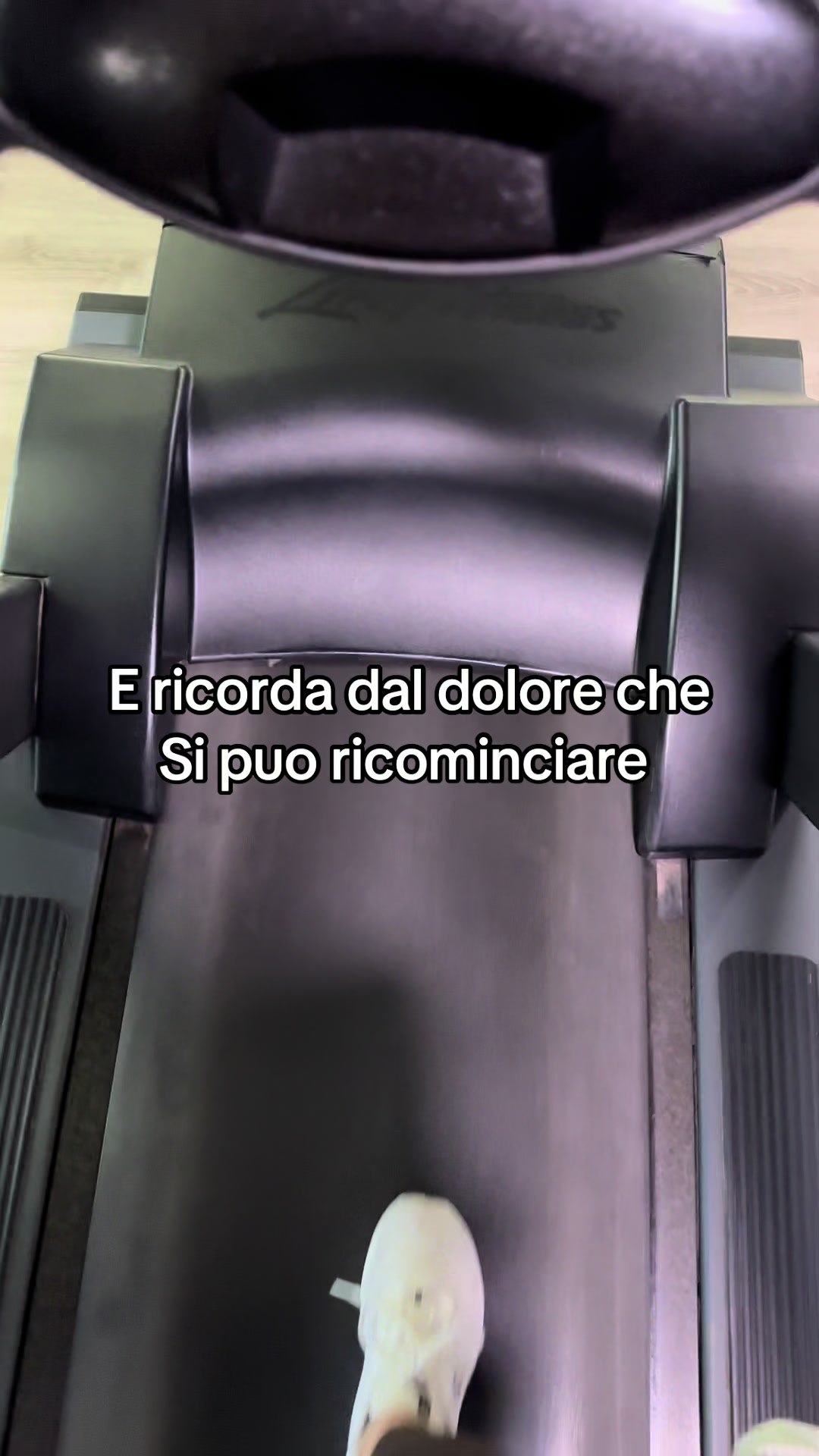 @federicamusio77