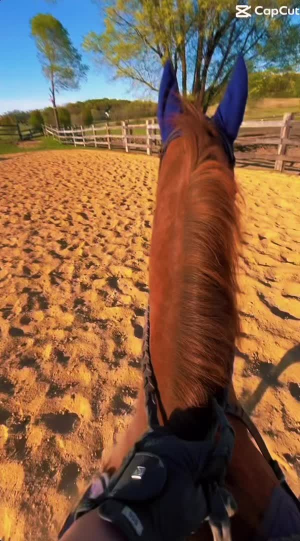 @keriashorse_spammmm