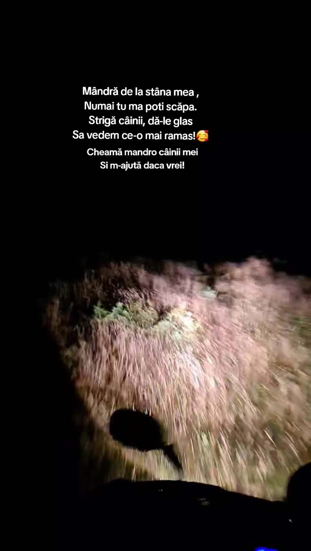 @Anda Maria
