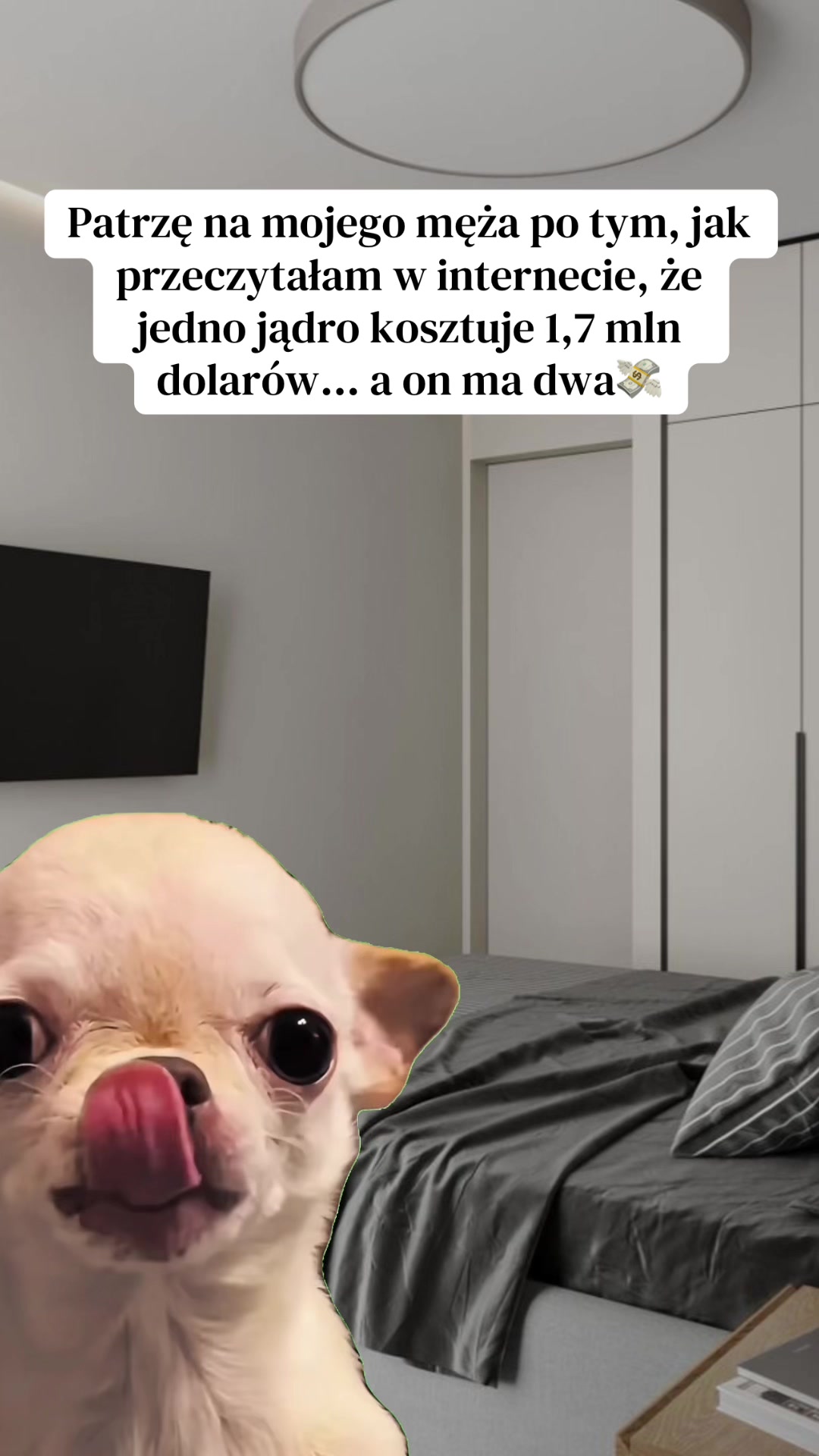 @Vita Nowak