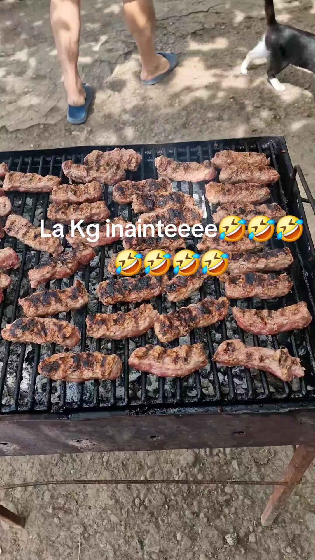 @iulianaalistar